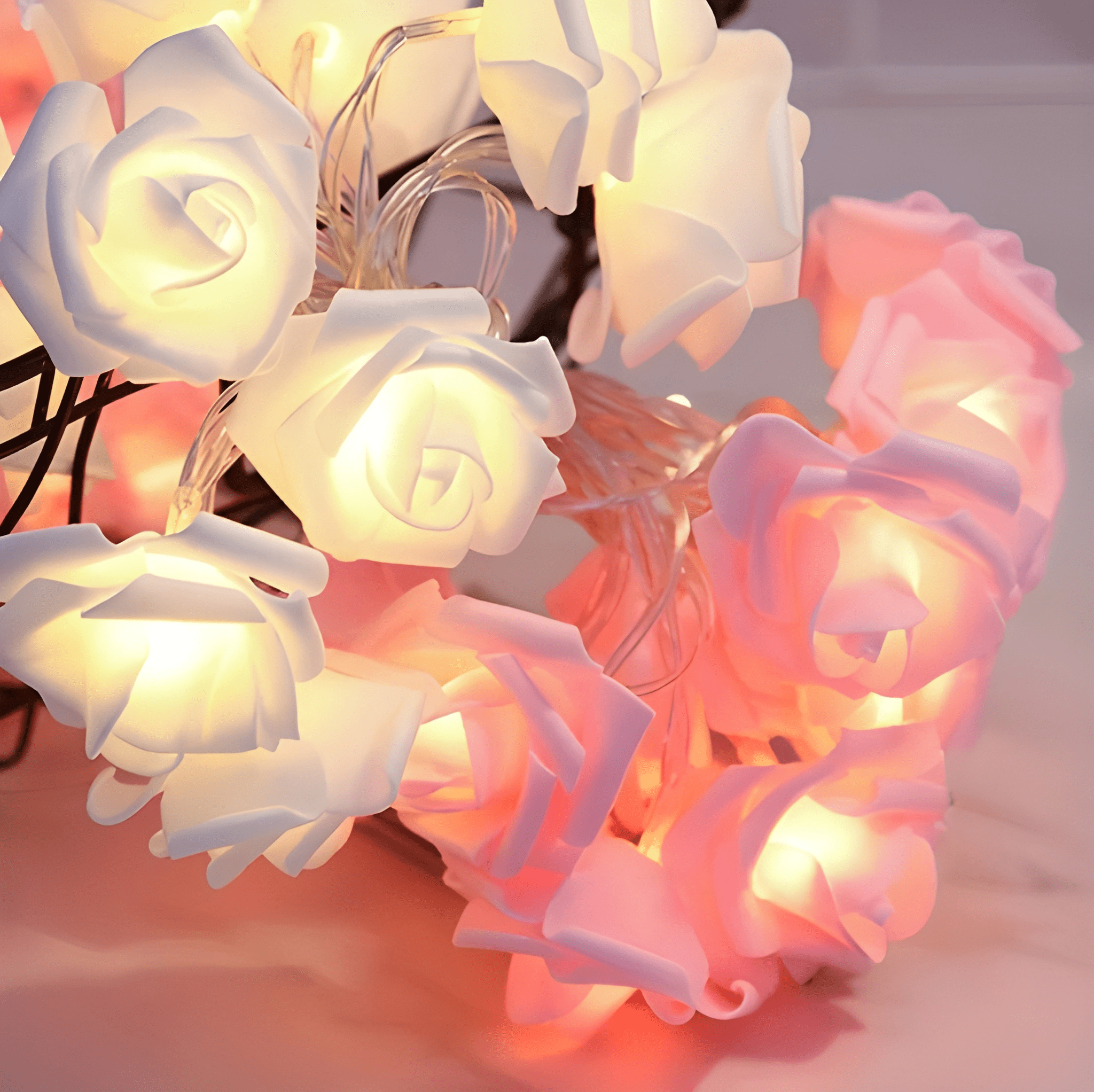 White and Pink Rose Lights