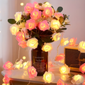 White and Pink Rose Lights
